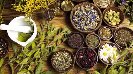 رشد ۱۲۰ درصدی ارزش صادرات گیاهان دارویی ایران